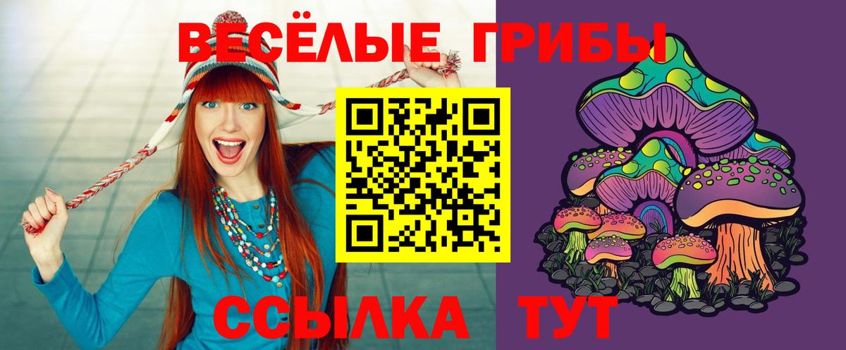 Галлюциногенные грибы мицелий  где можно купить наркотик  Осинники  Вход с VPN 