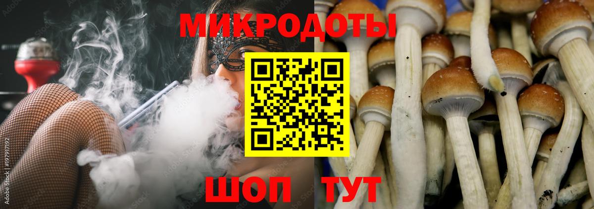Галлюциногенные грибы Magic Shrooms Осинники