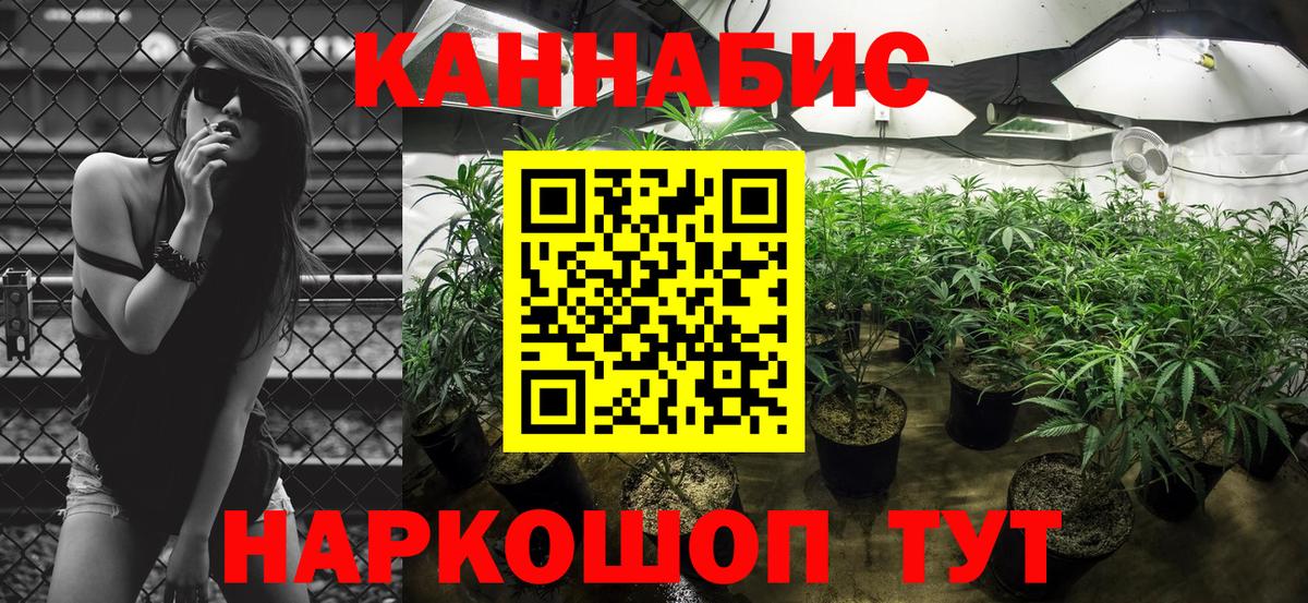 Бошки Шишки Amnesia  Бошки Шишки SATIVA & INDICA  Вход с VPN  Осинники  Канабис семена 